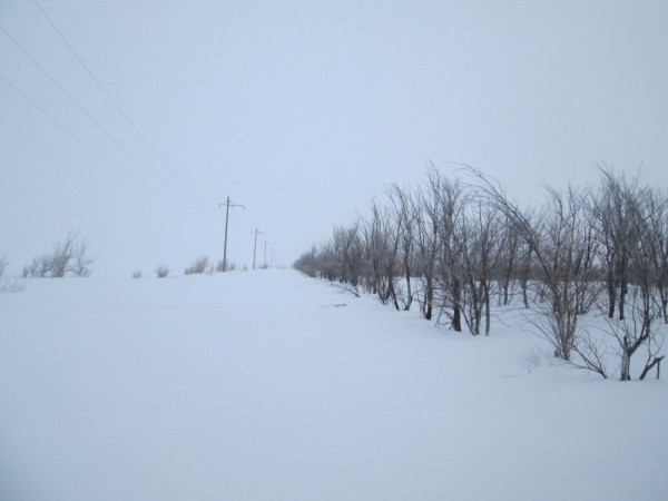 Что нам снег, что нам зной, что нам дождь..... Что нам снег, что нам зной, что нам дождь.....