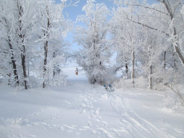 Тропой "молодого" охотника Тропой "молодого" охотника