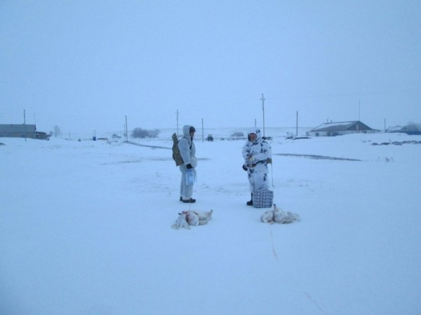 Что нам снег, что нам зной, что нам дождь..... Что нам снег, что нам зной, что нам дождь.....