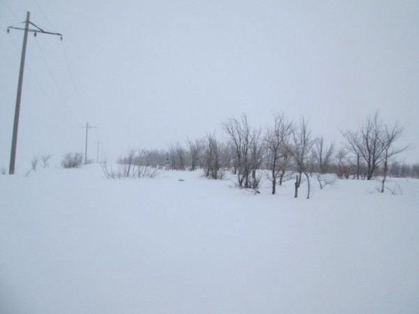 Что нам снег, что нам зной, что нам дождь..... Что нам снег, что нам зной, что нам дождь.....