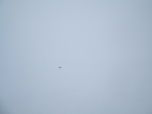 Что нам снег, что нам зной, что нам дождь..... Что нам снег, что нам зной, что нам дождь.....