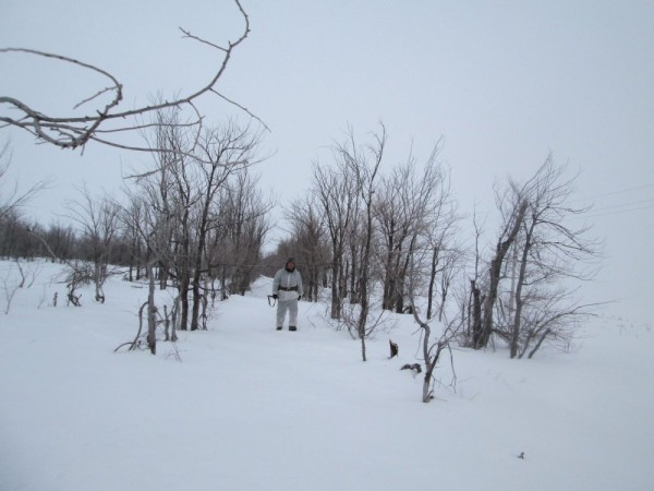 Что нам снег, что нам зной, что нам дождь..... Что нам снег, что нам зной, что нам дождь.....