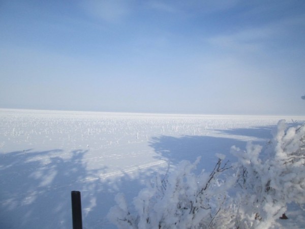 Тропой "молодого" охотника Тропой "молодого" охотника