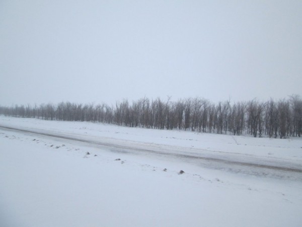 Что нам снег, что нам зной, что нам дождь..... Что нам снег, что нам зной, что нам дождь.....