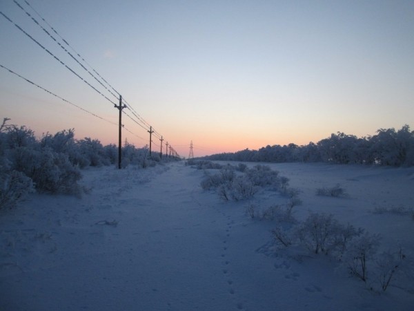 Тропой "молодого" охотника Тропой "молодого" охотника