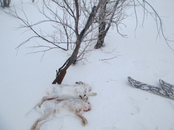 Что нам снег, что нам зной, что нам дождь..... Что нам снег, что нам зной, что нам дождь.....