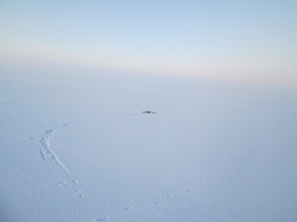 Тропой "молодого" охотника Тропой "молодого" охотника