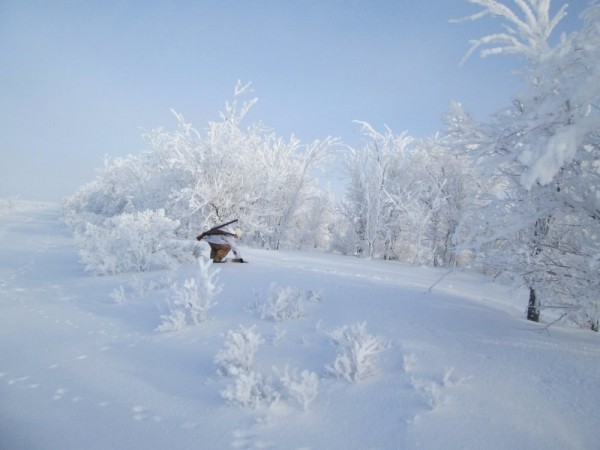 Тропой "молодого" охотника Тропой "молодого" охотника