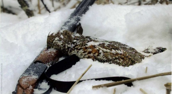 Белые фейерверки