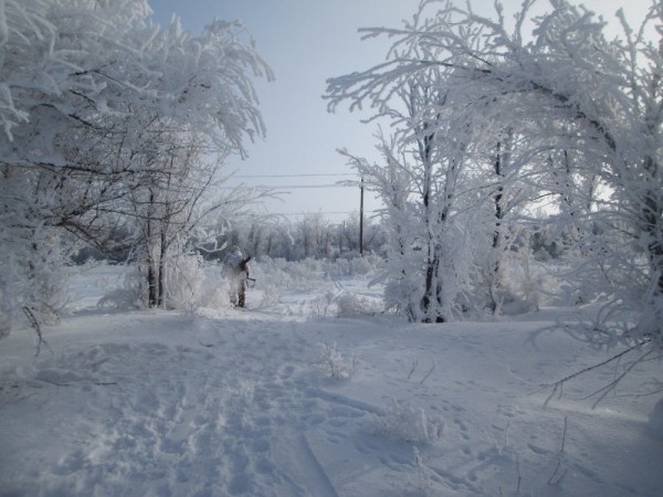 Тропой "молодого" охотника Тропой "молодого" охотника
