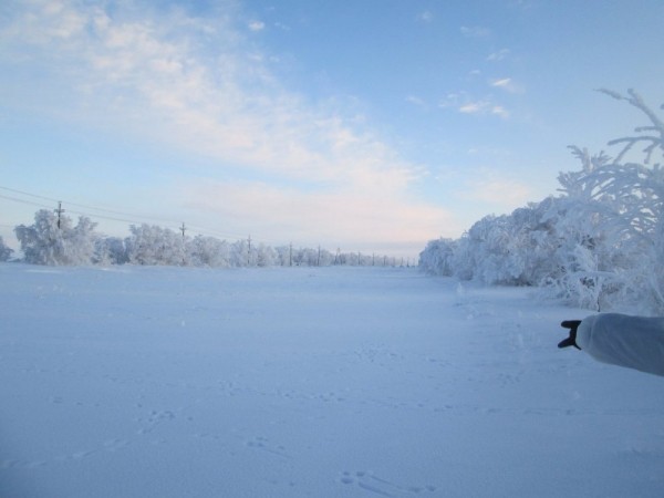 Тропой "молодого" охотника Тропой "молодого" охотника