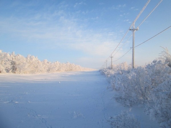 Тропой "молодого" охотника Тропой "молодого" охотника
