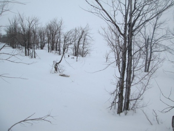 Что нам снег, что нам зной, что нам дождь..... Что нам снег, что нам зной, что нам дождь.....