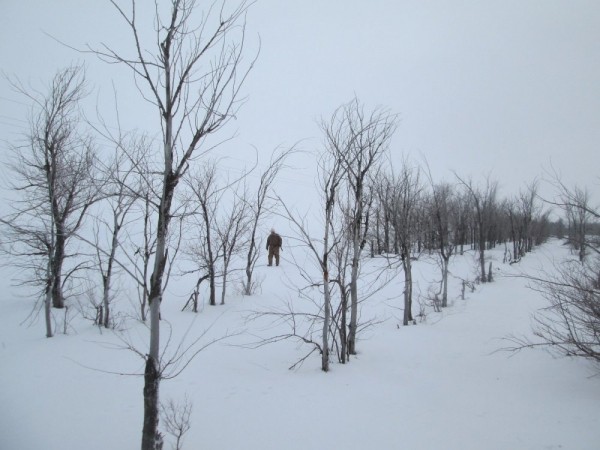 Что нам снег, что нам зной, что нам дождь..... Что нам снег, что нам зной, что нам дождь.....