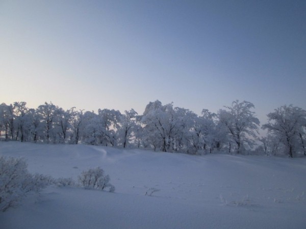Тропой "молодого" охотника Тропой "молодого" охотника