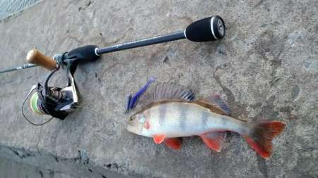 Флюорокарбон Lucky John Area Trout Game Флюорокарбон Lucky John Area Trout Game