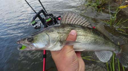 Флюорокарбон Lucky John Area Trout Game Флюорокарбон Lucky John Area Trout Game