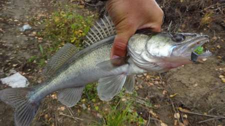 Флюорокарбон Lucky John Area Trout Game Флюорокарбон Lucky John Area Trout Game