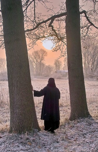 Хорошие новости