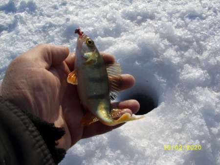 Какой чудесный день Какой чудесный день