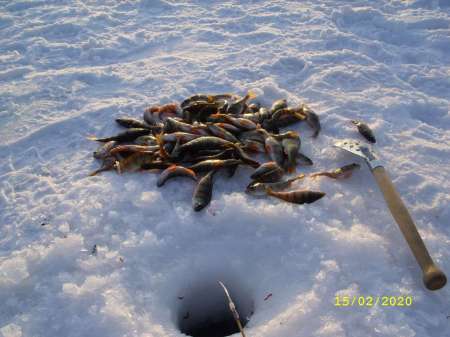 Какой чудесный день Какой чудесный день