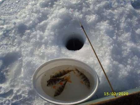 Какой чудесный день Какой чудесный день