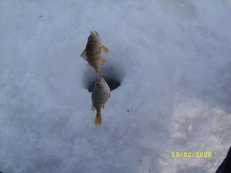 Какой чудесный день Какой чудесный день