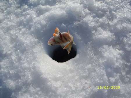 Какой чудесный день Какой чудесный день