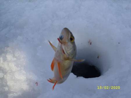 Какой чудесный день Какой чудесный день