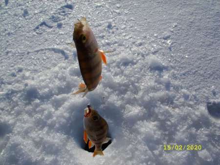 Какой чудесный день Какой чудесный день