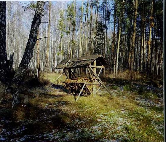 КУРГАН - мекка косулятников