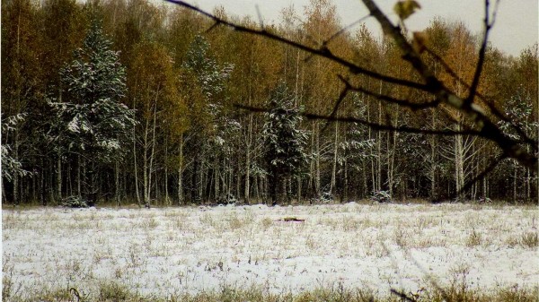 КУРГАН - мекка косулятников