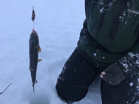 Ловля с подблестком