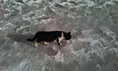 Первый лёд в феврале