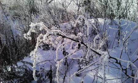 Первый лёд в феврале