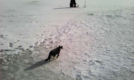 Первый лёд в феврале