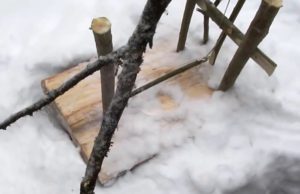 Петли на зайца