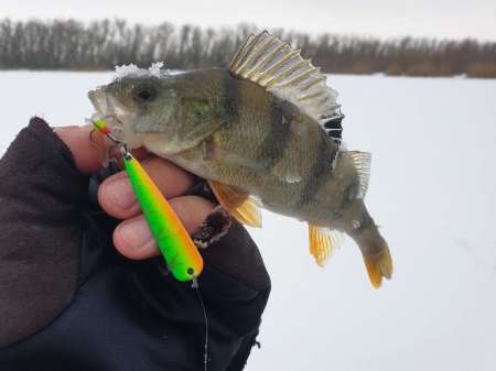 Плохая погода. Должен быть клёв!