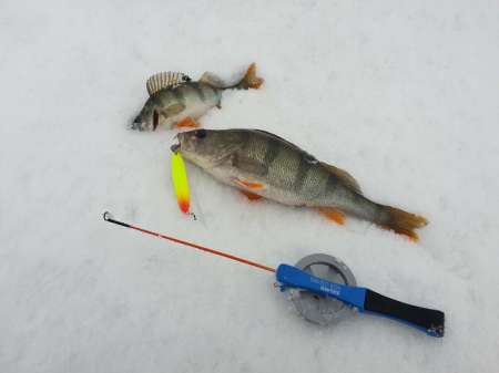 Плохая погода. Должен быть клёв!