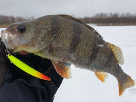 Плохая погода. Должен быть клёв!