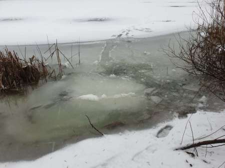 Плохая погода. Должен быть клёв!