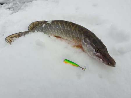 Плохая погода. Должен быть клёв!