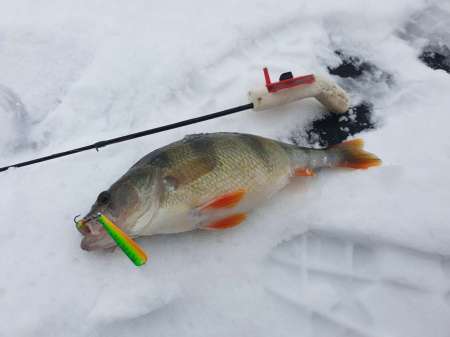 Плохая погода. Должен быть клёв!