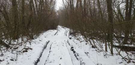 Плохая погода. Должен быть клёв!