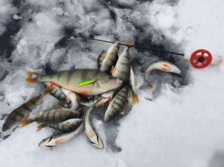 Плохая погода. Должен быть клёв!