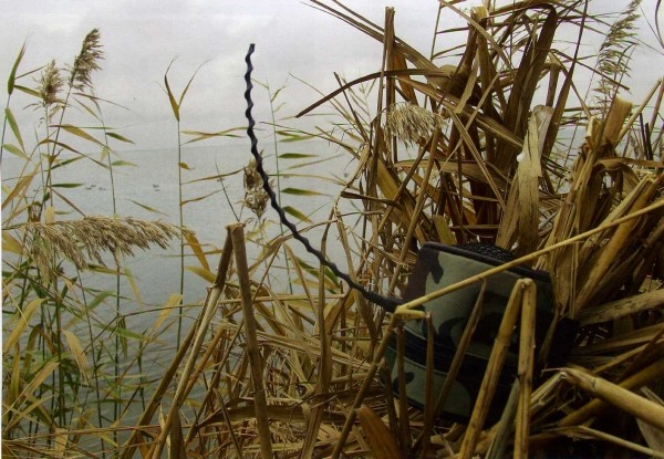 Почему я не против электроманков Почему я не против электроманков