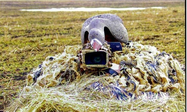 Почему я не против электроманков Почему я не против электроманков