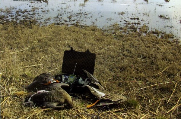 Почему я не против электроманков Почему я не против электроманков