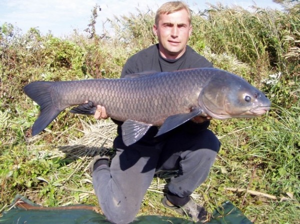Редкие виды рыб, лов которых запрещен