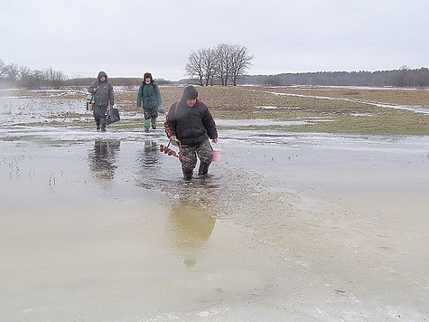 С мормышкой по разливу С мормышкой по разливу